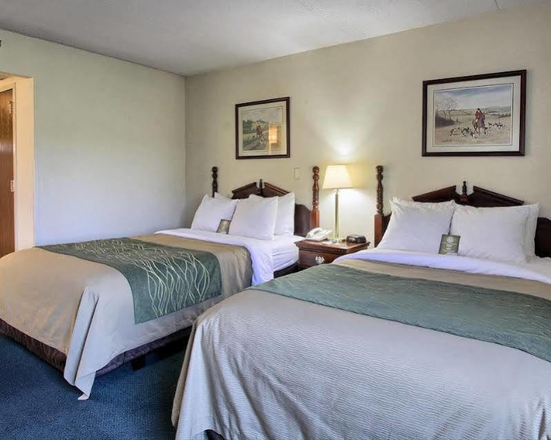 מלון Super 8 By Wyndham Chambersburg I-81 מראה חיצוני תמונה